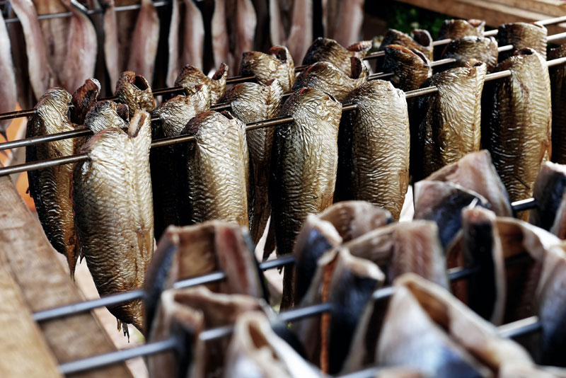 Lämminsavustusta voi tehdä myös roikottamalla kaloja perinteisen ritiläsavustuksen sijaan.