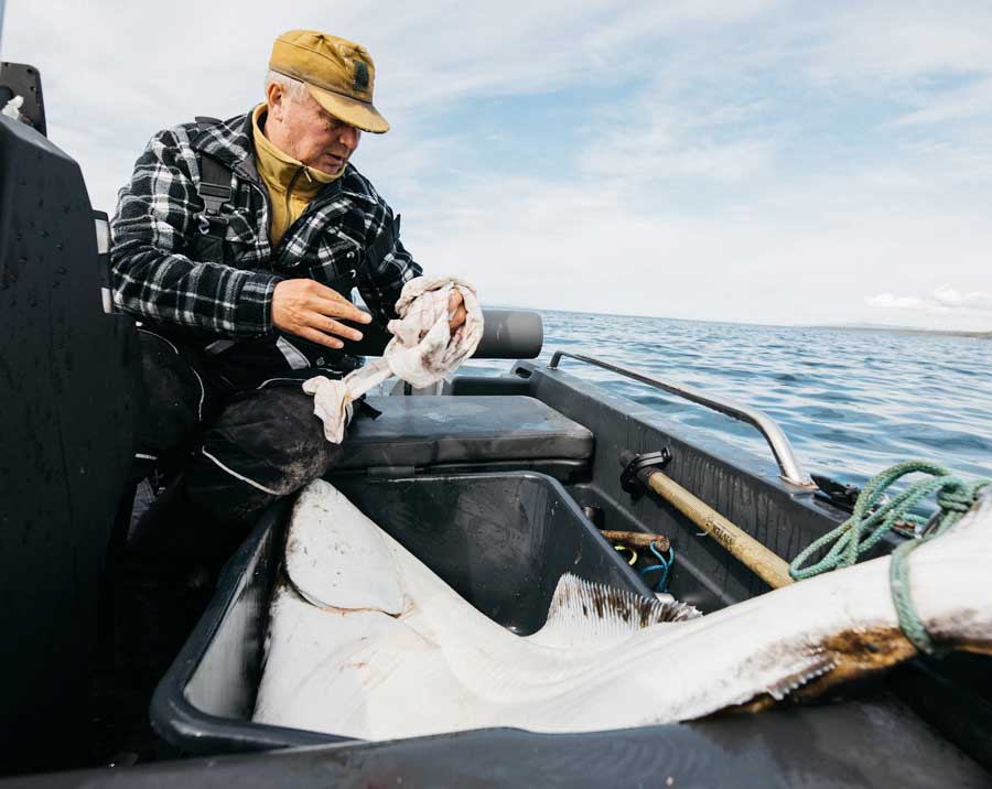 Kalastus Norjan vuonoilla voi tuoda saaliiksi komean ruijanpallaksen.